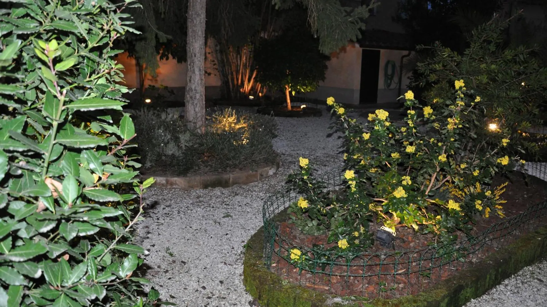 Il Mattino Ha L'Oro In Bocca Bed and Breakfast Pisa Bed & Breakfast